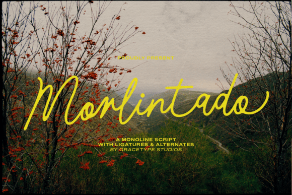 Morlintado: Crafting Autumnal Elegance in Modern Design