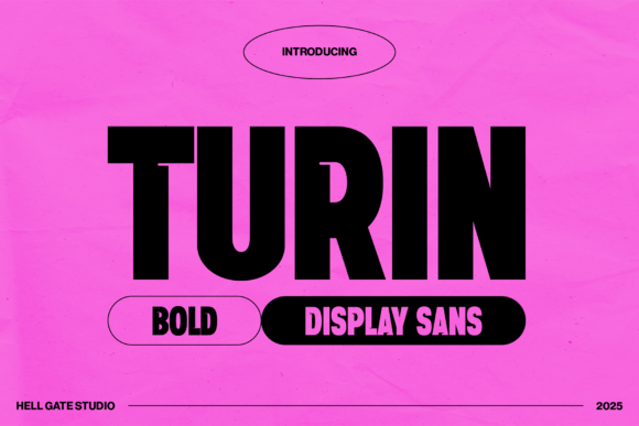 Turin: Commanding Attention in Modern Visual Design